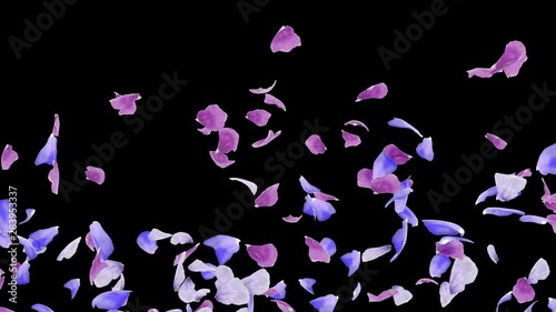 3D animation of a flower petals flow with alpha layer