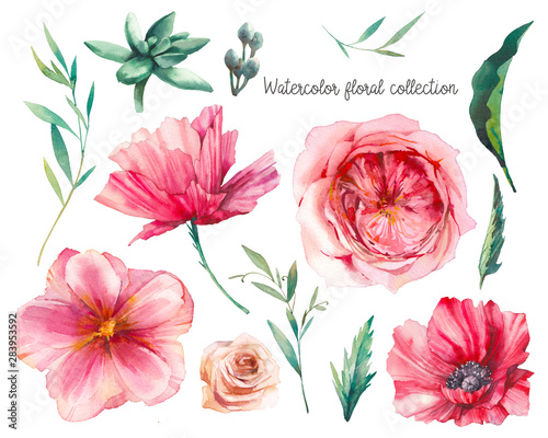 Floral elements set. Watercolor botanical illustration of peony  anemone  rose flowers  branches and leaves. Natural objects and paper tags isolated on white background