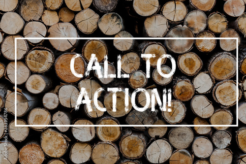 Conceptual hand writing showing Call To Action. Concept meaning most important part of online digital marketing campaign Wooden background vintage wood wild message ideas thoughts