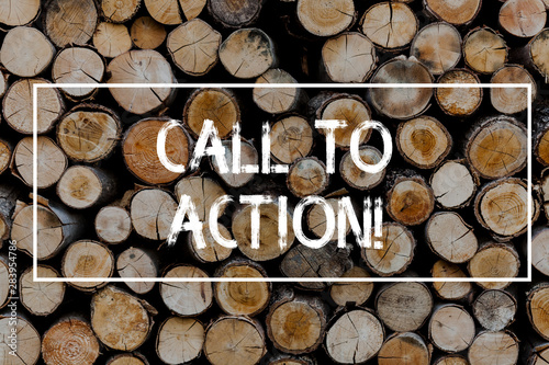 Conceptual hand writing showing Call To Action. Concept meaning most important part of online digital marketing campaign Wooden background vintage wood wild message ideas thoughts photo