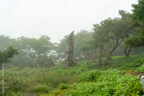 Mount Tsurugi in Tokushima, Japan photo
