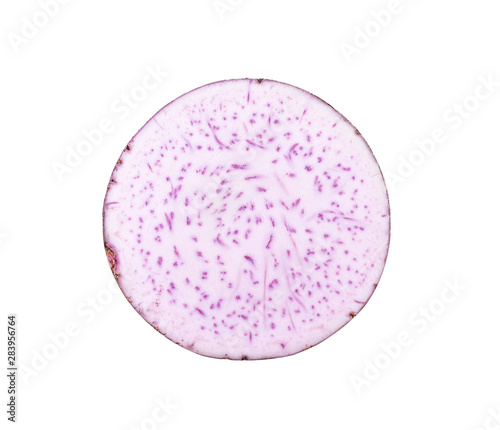 Canvas Print taro isolated on white background