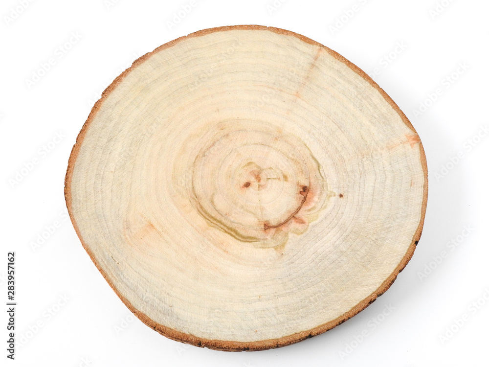 Top view of wood slice isolated on white background. With copy space. Nature and wood concept. Wood texture. Tree ring. Top view of wood slice isolated on white background. With copy space. Nature and wood concept. Wood texture. Tree ring.