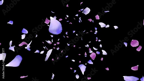 3D animation of a flower petals flow with alpha layer
