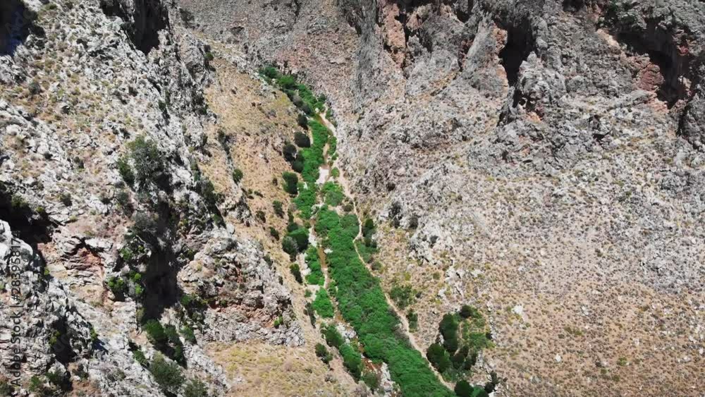 Dirt road covered with moss amidst rocky cliff Dirt road covered with moss amidst rocky cliff