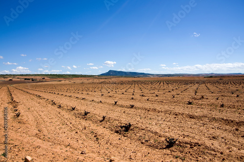 road in the desert photo