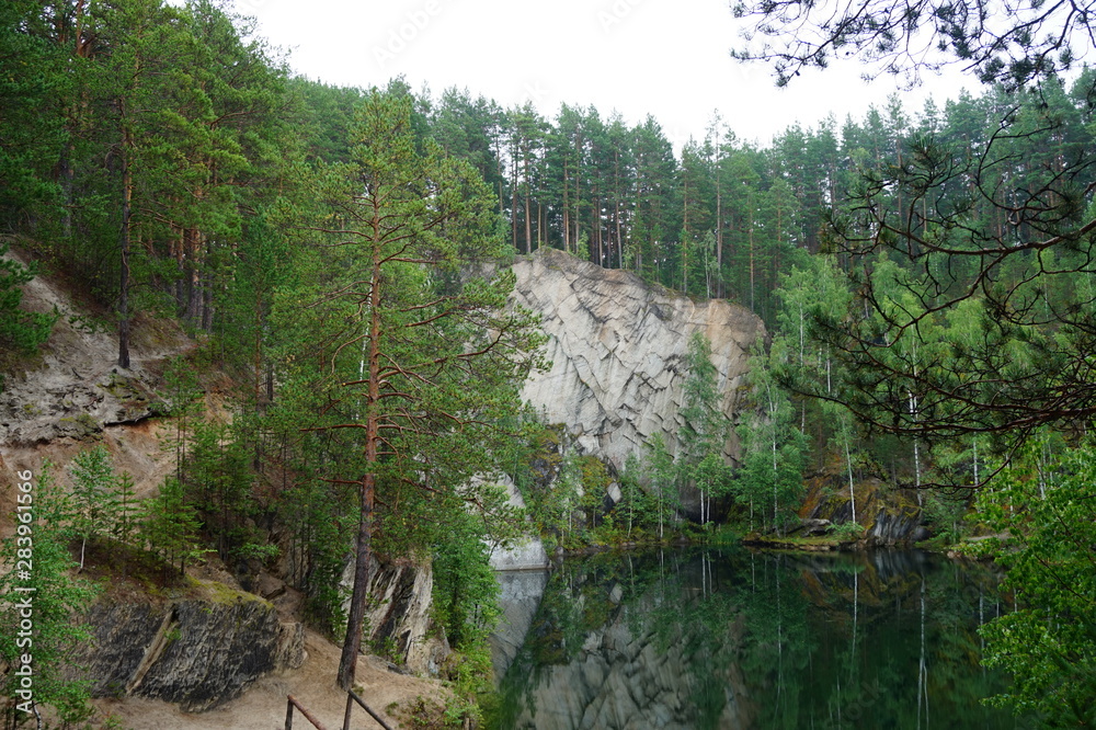 Obraz premium forest in mountains