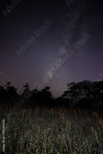 Fotografie Milky way over the wild flower field before dawn (noise contained)