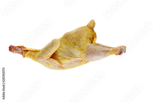 Whole raw chicken isolated on white background