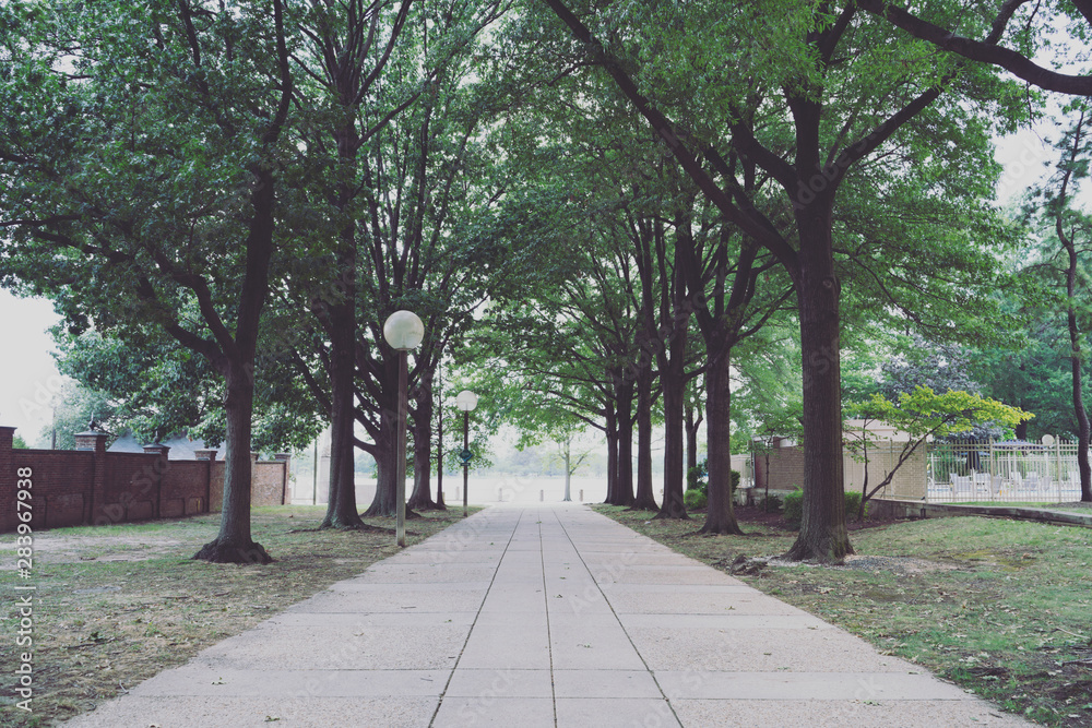 Tree lined path along the Anacostia Riverwalk in Southwest DC
