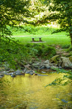Bench along the river in Tarr Steps Woodland