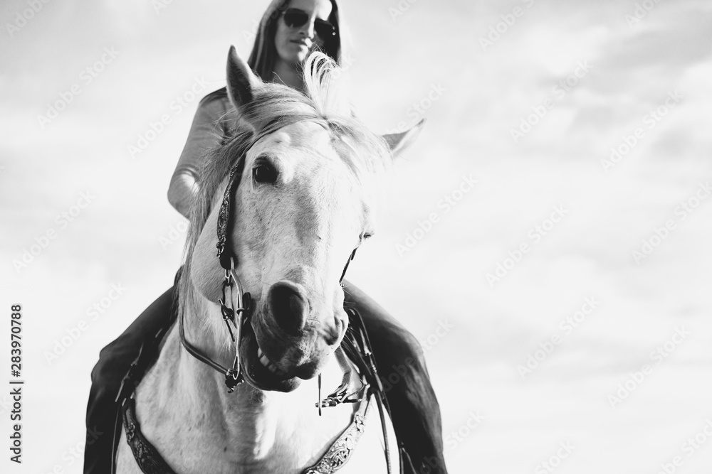 Obraz premium Black and white horseback riding concept with horse head close up and portrait of rider.