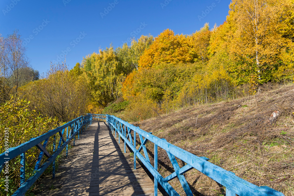 Trees with yellowed foliage on the side of a ravine.
