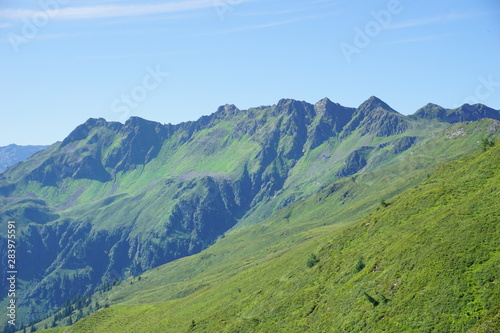 Fototapeta Naklejka Na Ścianę i Meble -  grüne Berge von Alpbach
