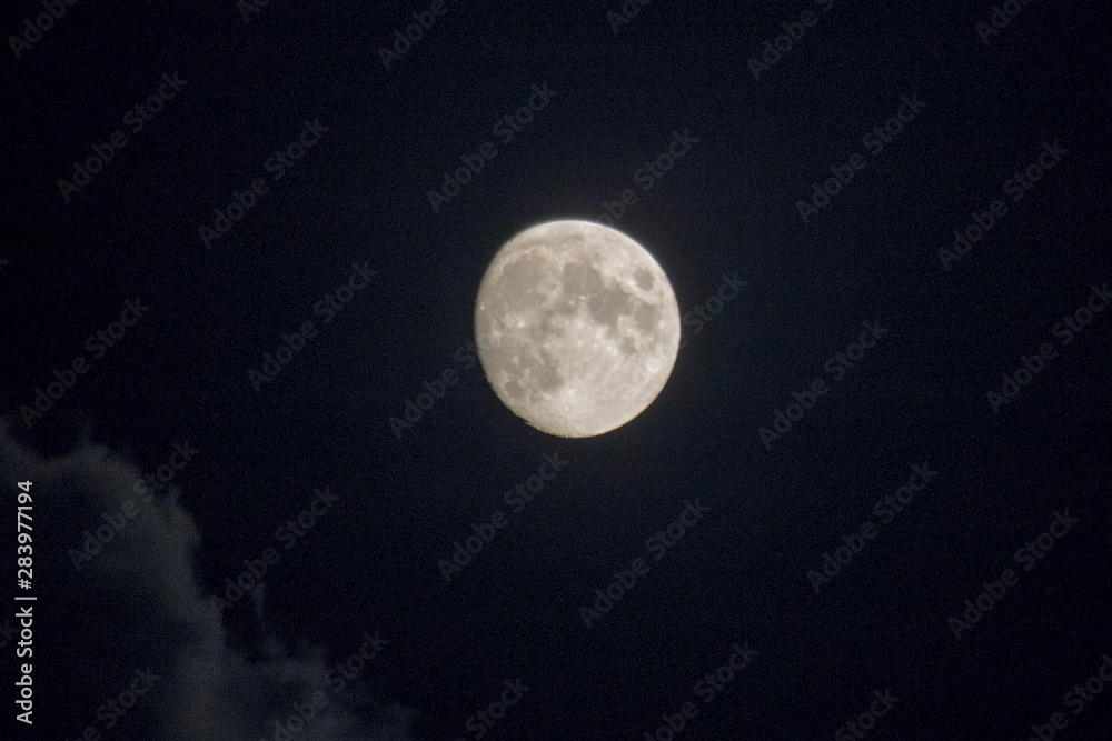 moon in summer night moon in summer night
