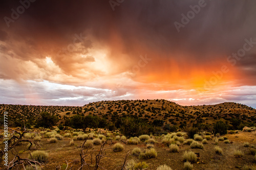 New Mexico Desert