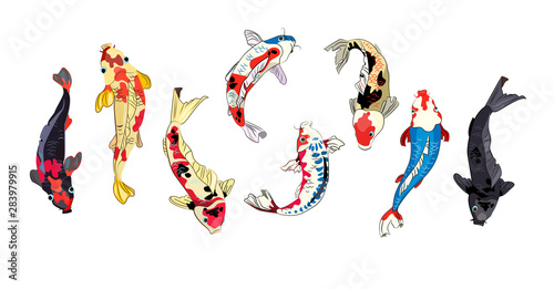 Koi fish set