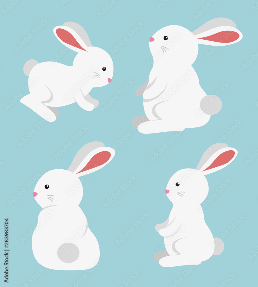 set of rabbit cute wild animal set of rabbit cute wild animal