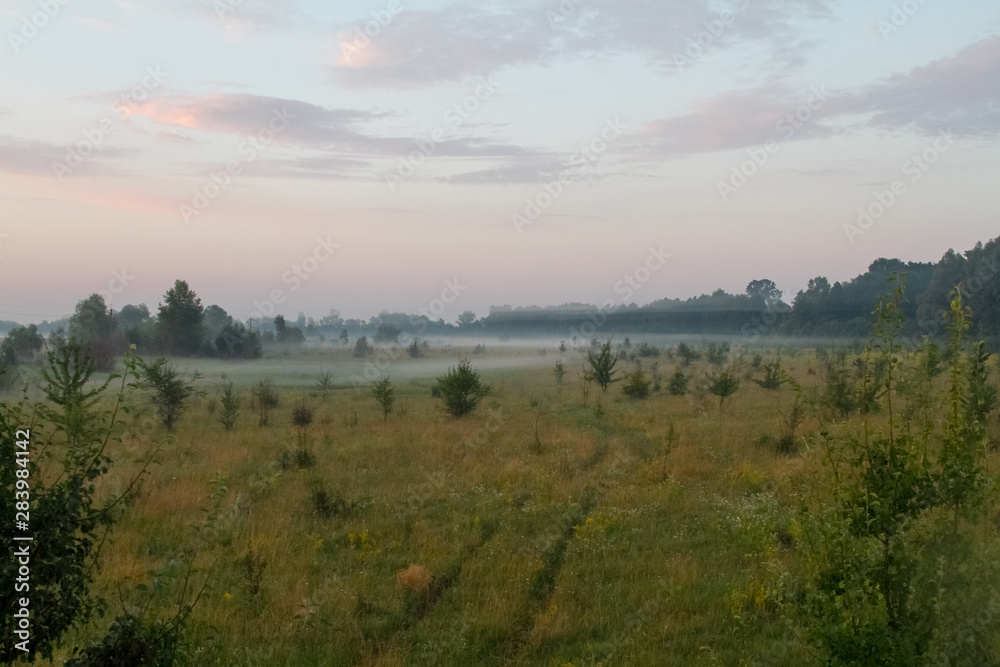 Summer morning landscape with two ruts on grassy meadow over blue sky with cumulus clouds, selective focus