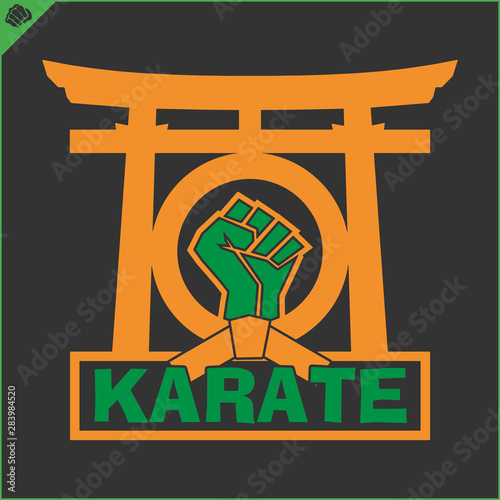 Karate emblem. Martial art creative colored simbol design. Vector, EPS.