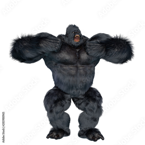 gorilla