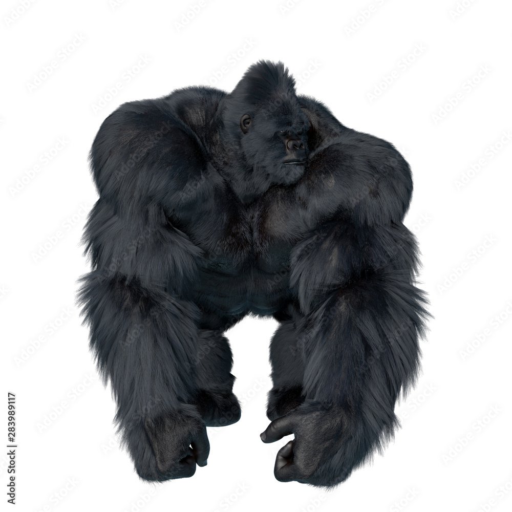 Obraz premium super gorilla idle