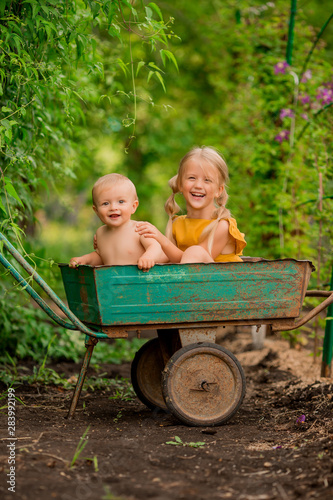 two small children girl and boy in the country in a garden wheelbarrow sitting smiling