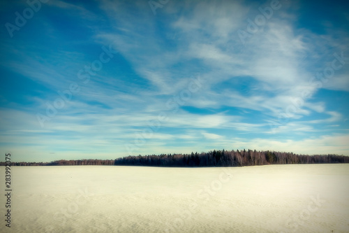 Fototapeta Naklejka Na Ścianę i Meble -  Winter concept. Background, winter landscape, field, forest, sky.