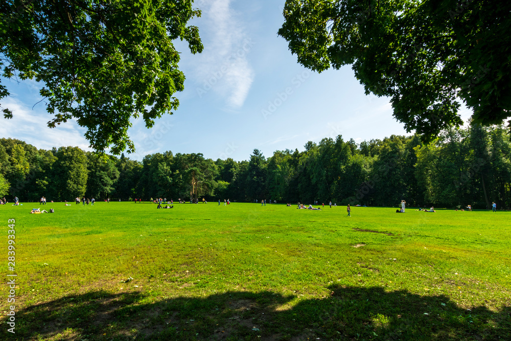 Fototapeta premium green city park during a sunny day , place of urban rest for citizens in a holyday with fine weather