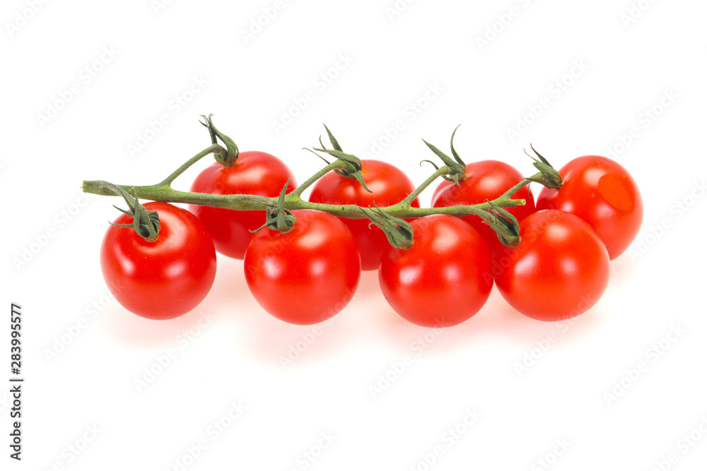 Ripe tomatoes on the branch