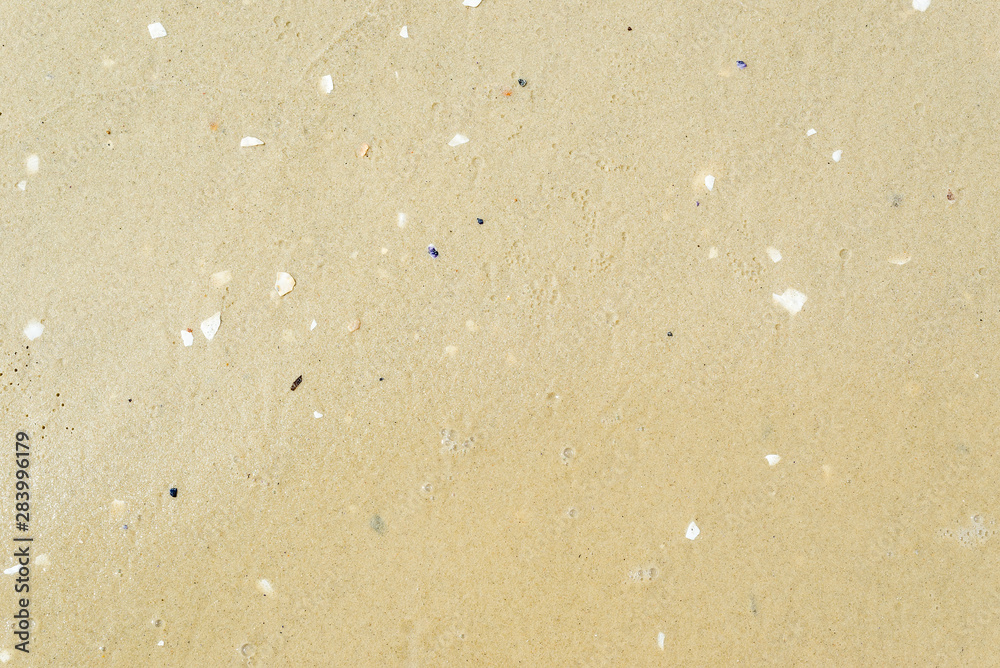 wet yellow sand on the sea beach as background - obrazy, fototapety, plakaty 