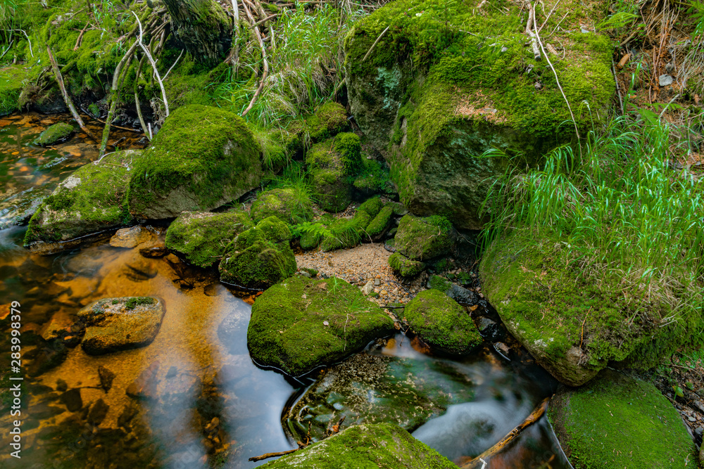 Bystrina creek in summer nice morning in Krusne mountains near Sokolov town