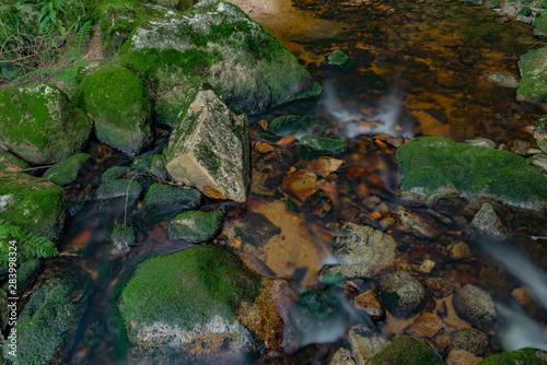 Bystrina creek in summer nice morning in Krusne mountains near Sokolov town