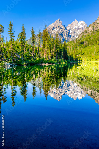 Mirror Reflection of Mountain and Forest in Lake