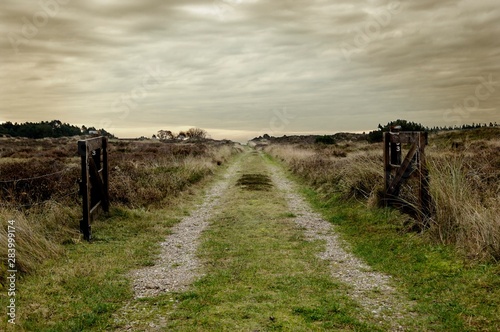 bicycle active fields photo