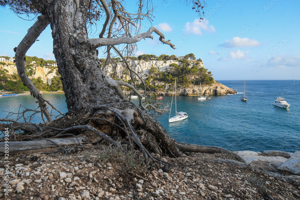 Panoramic of Cala Galdana, between rocks, wood and the sea, in Menorca Panoramic of Cala Galdana, between rocks, wood and the sea, in Menorca