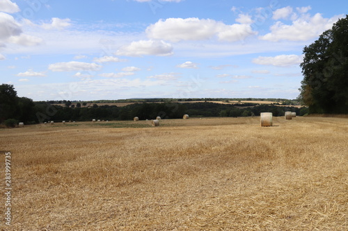 Champs en Bourgogne photo