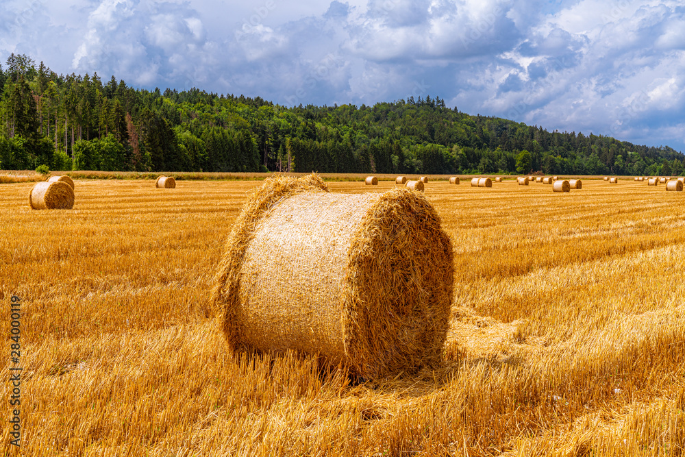 Strohballen zieren abgemähtes Feld in Bayern