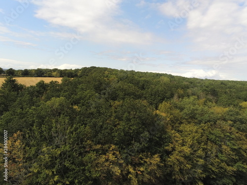 Forêt en Bourgogne, vue aérienne 
