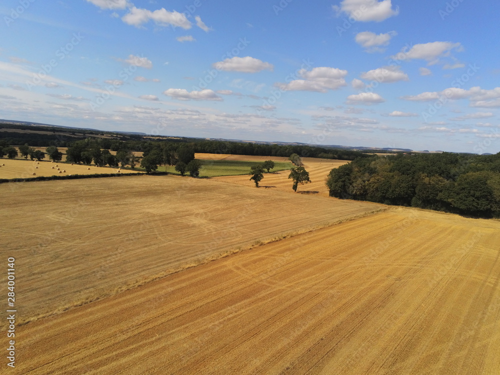 Champs agricole en Bourgogne, vue aérienne