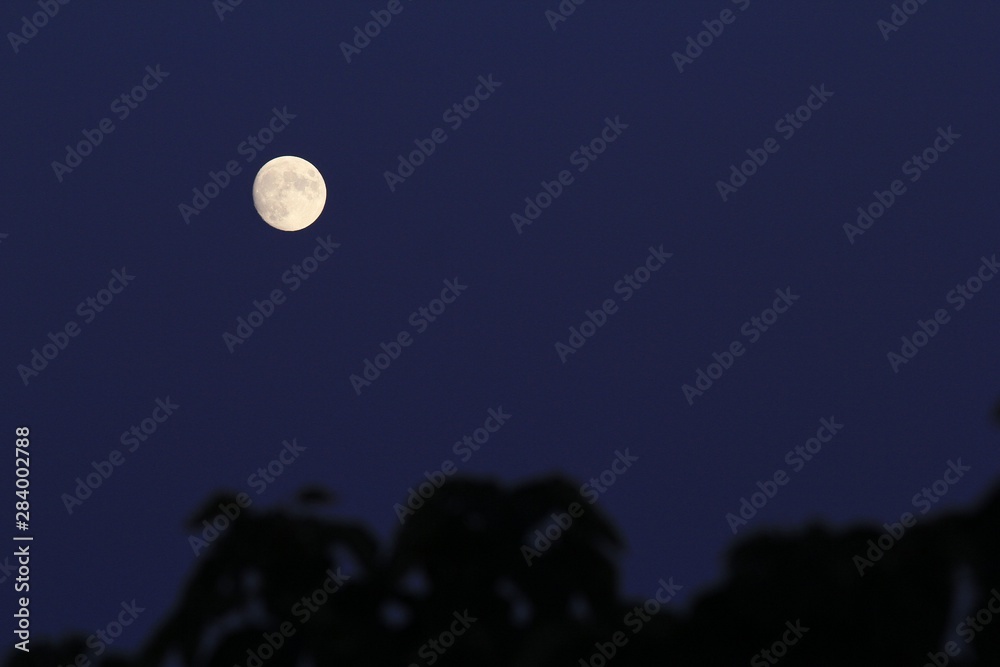 Fototapeta premium Moon in the night sky close-up