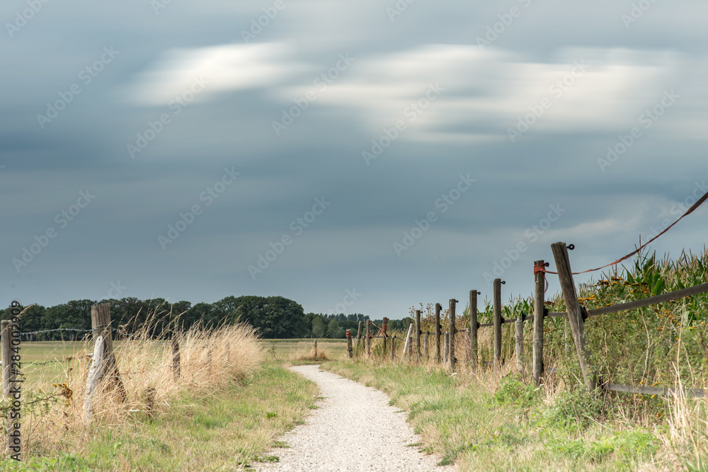 Obraz premium Dirt pathway between fence and corn field under cloudy sky. Long exposure shot.