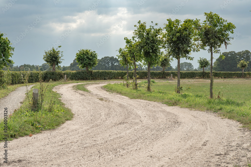 Curved dirt road in summer rural landscape under cloudy sky.
