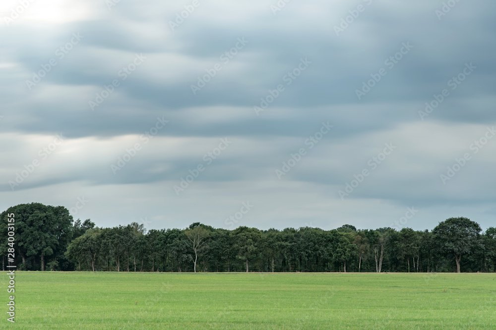 Meadow with trees on horizon under cloudy sky. Long exposure shot.
