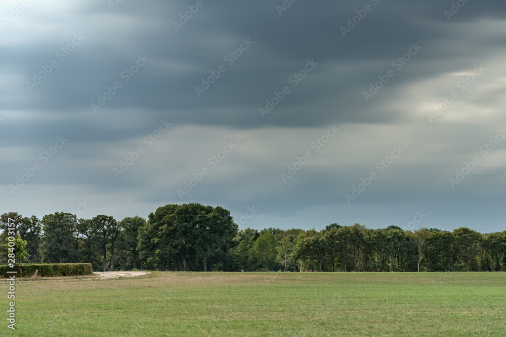 Meadow with trees on horizon under cloudy sky. Long exposure shot. Meadow with trees on horizon under cloudy sky. Long exposure shot.