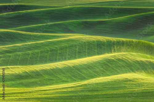Original photograph of rolling green hills of farmland in the late afternoon