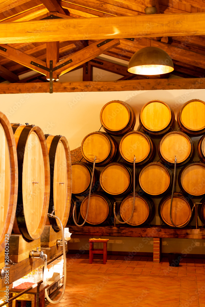 Oak barrels with different types of wine in Italian winery, tasting and sale of wine
