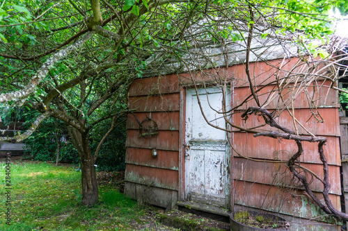 Old red shed in garden