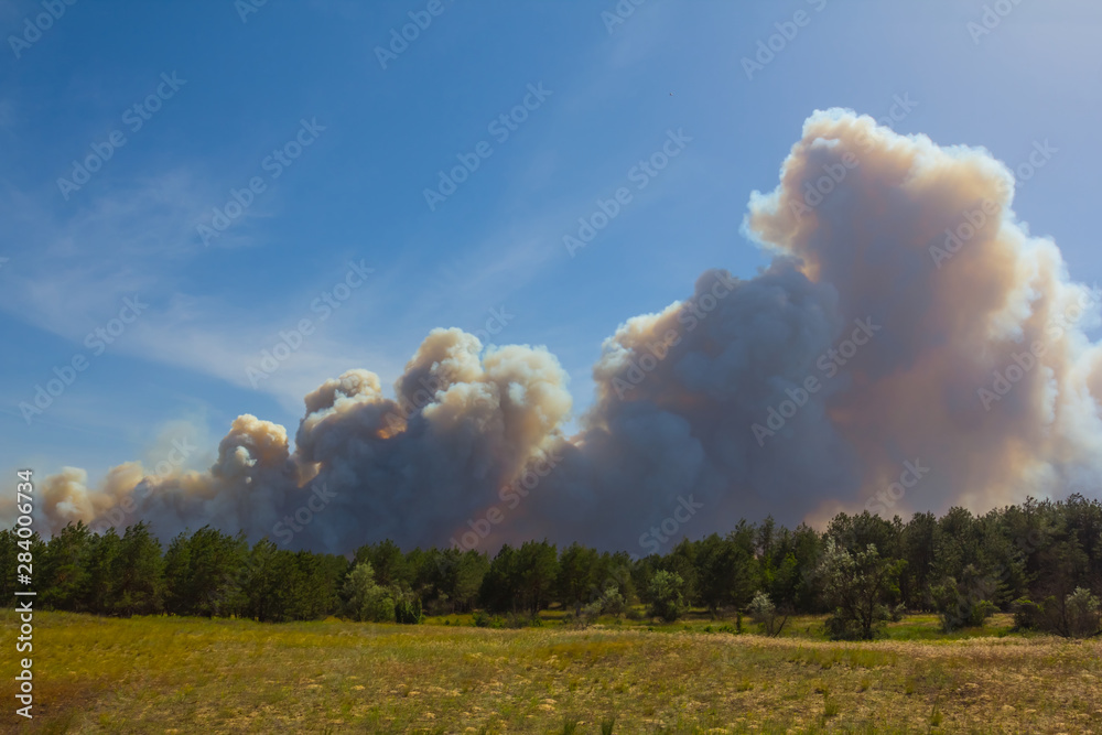 burning forest, dense smoke clouds over the forest, natural calamity scene, taiga, Russia burning forest, dense smoke clouds over the forest, natural calamity scene, taiga, Russia