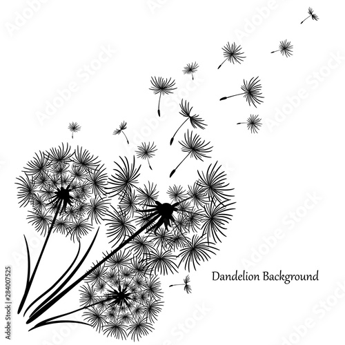 Vintage dandelion, great design for any purposes. Dandelion vector. Spring blossom background. Beautiful icon with black dandelion on white background. Flower background. Flying dandelion. 